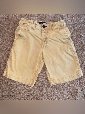 Men’s American Eagle Active Flex Classic Shorts, 28